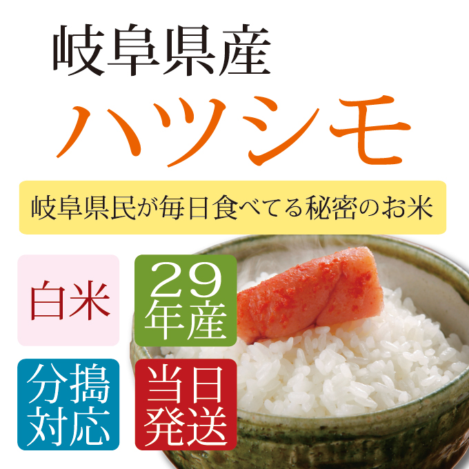 平成29年産 岐阜県産 ハツシモ 白米 １０kg【５kg×２袋】 - 増井商店